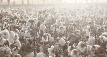 同面料毛巾！我们低价搞到了澳门新葡京某东来刚上架的(图7)