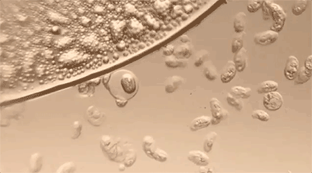 同面料毛巾！我们低价搞到了澳门新葡京某东来刚上架的(图8)