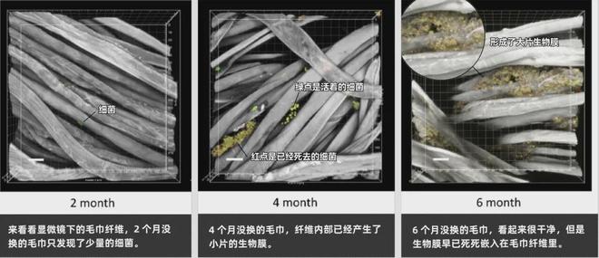 同面料毛巾！我们低价搞到了澳门新葡京某东来刚上架的(图14)