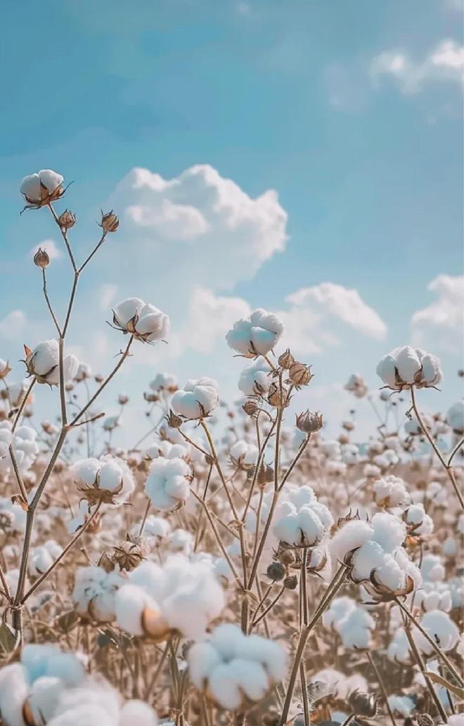 同面料毛巾！我们低价搞到了澳门新葡京某东来刚上架的(图16)